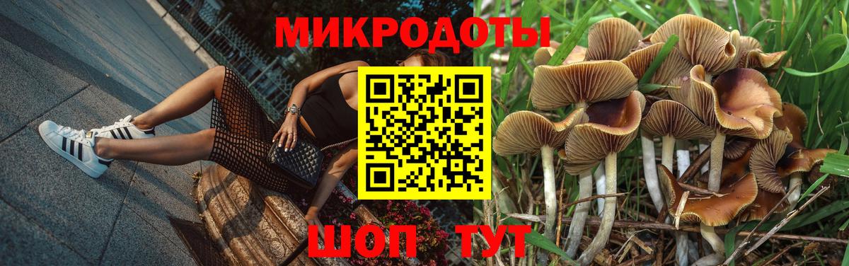 Будённовск  Галлюциногенные грибы мухоморы  где купить наркотик  Псилоцибиновые грибы мухоморы  Вход с VPN 