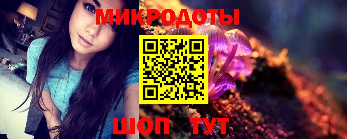 Галлюциногенные грибы Psilocybine cubensis Будённовск